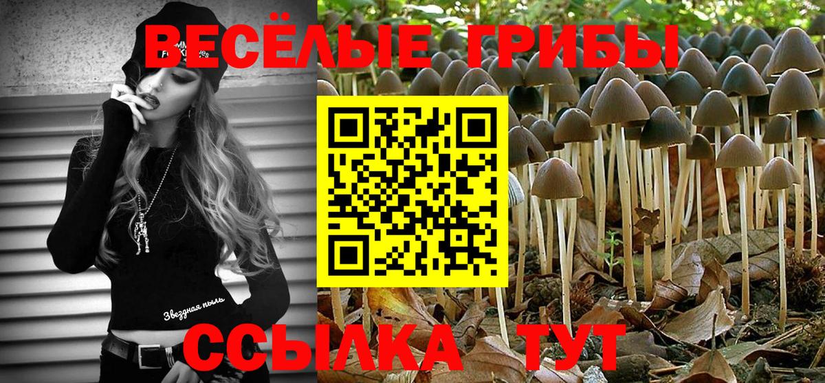 Псилоцибиновые грибы GOLDEN TEACHER  Вход с VPN  Уварово  Галлюциногенные грибы мухоморы 