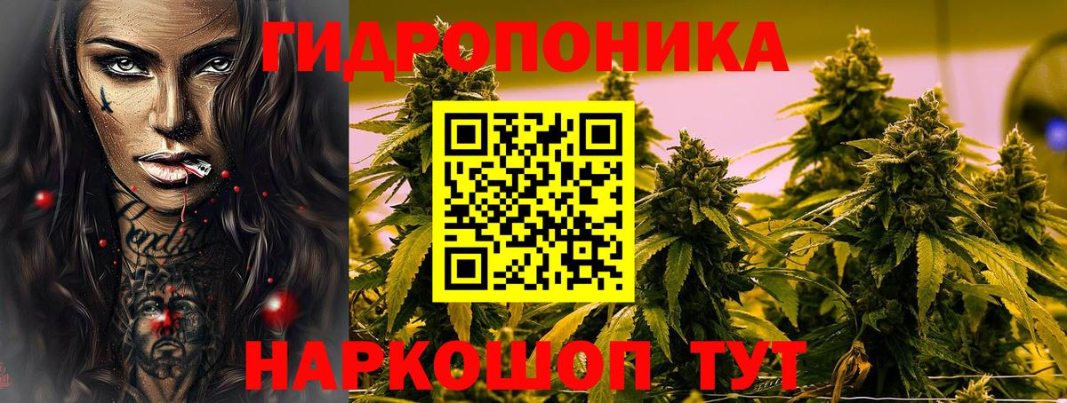 МАРИХУАНА Ganja  Каннабис семена  Уварово  Конопля гибрид  Вход с VPN  Бошки Шишки ГИДРОПОН 